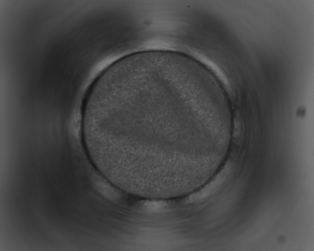 X0000103321461200809261124