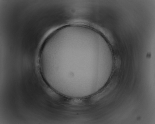 X0000103321462200809261124