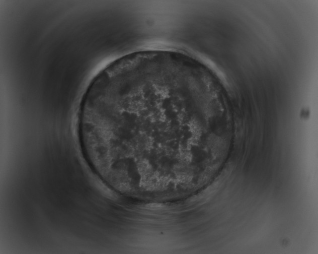 X0000103321463200809261124