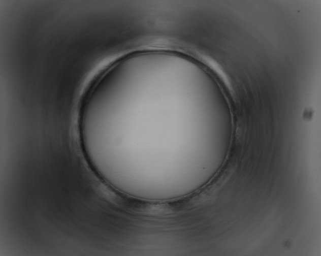 X0000103321464200809261124