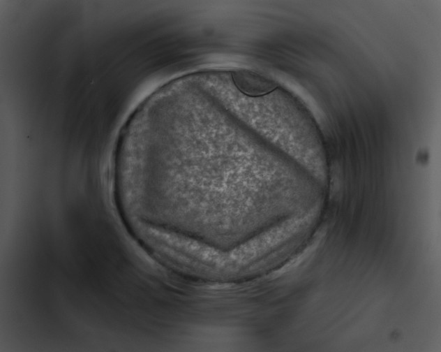 X0000103321467200809261124