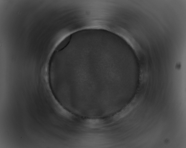 X0000103321468200809261124