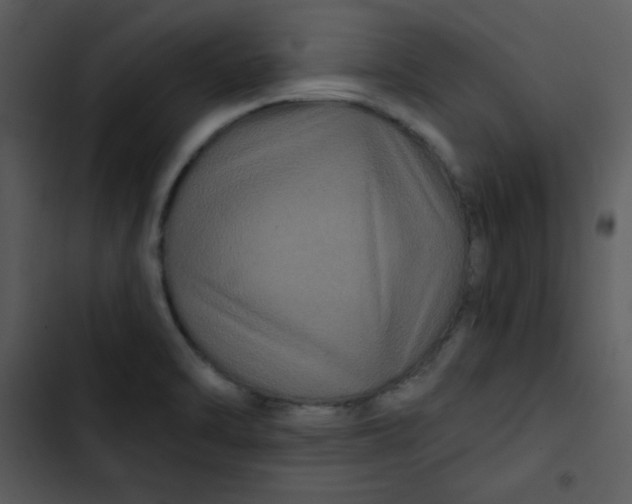 X0000103321470200809261124