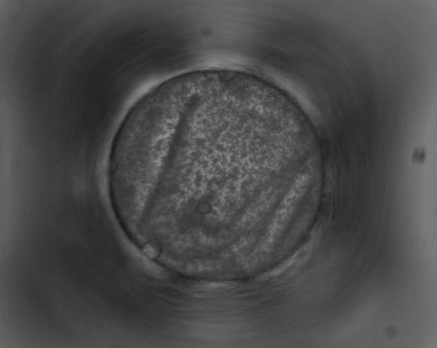 X0000103321471200809261124