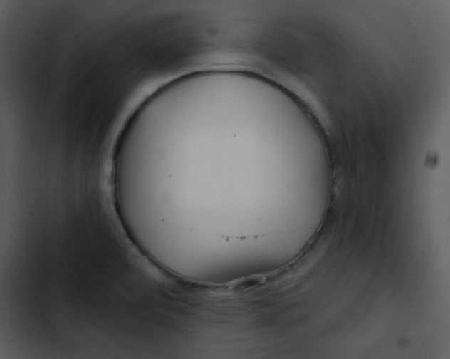 X0000103321472200809261124