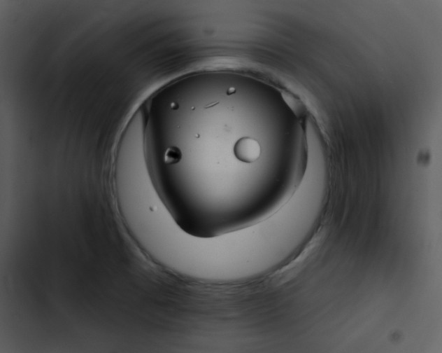 X0000103321473200809261124