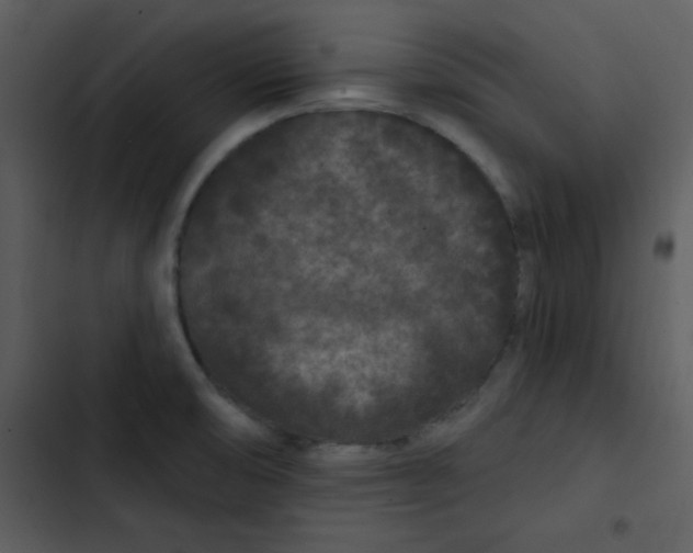 X0000103321474200809261124