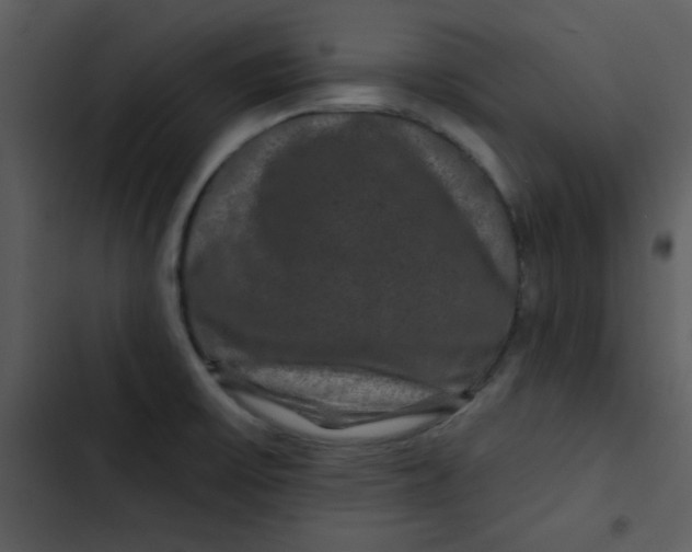 X0000103321475200809261124