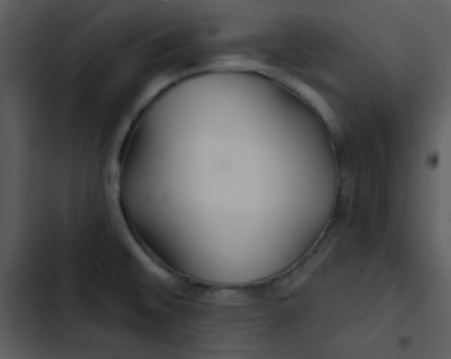 X0000103321476200809261124