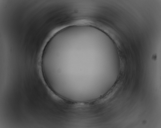 X0000103321478200809261124