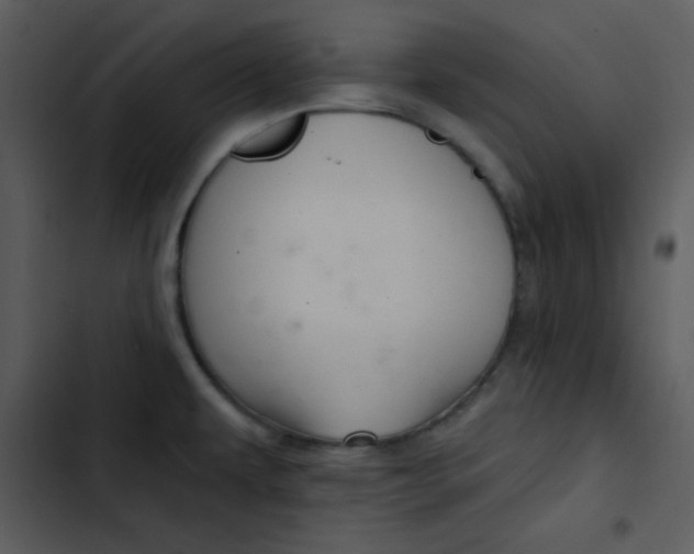 X0000103321479200809261124