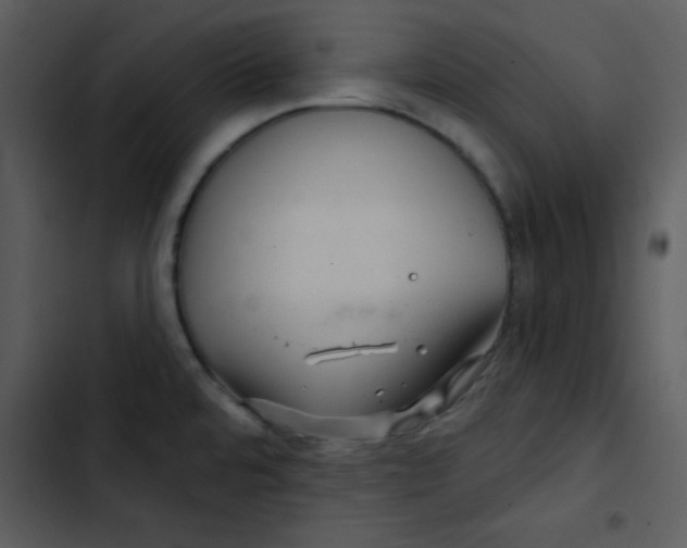 X0000103321480200809261124