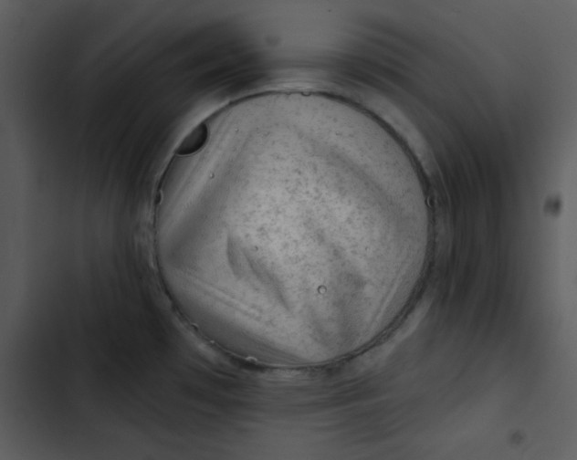 X0000103321481200809261124