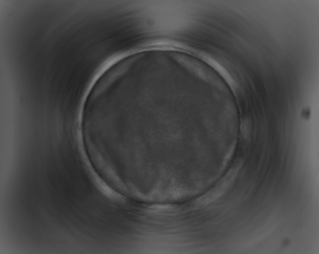 X0000103321482200809261124