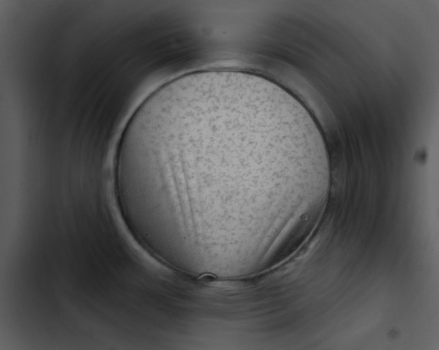 X0000103321483200809261124