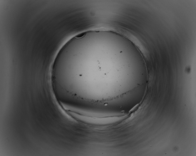 X0000103321484200809261124