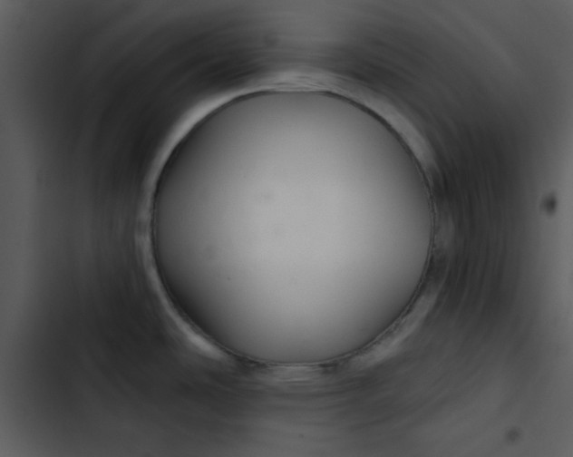 X0000103321486200809261124