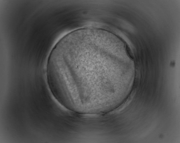 X0000103321487200809261124