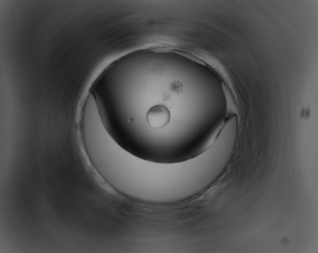 X0000103321488200809261124