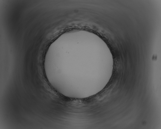 X0000103321489200809261123