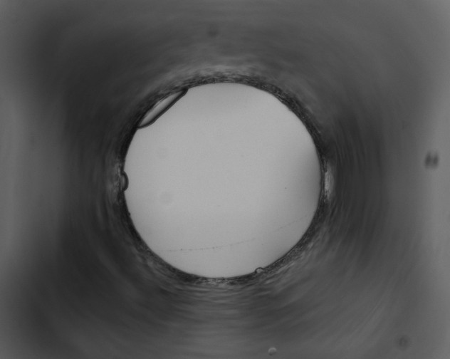 X0000103321492200809261123