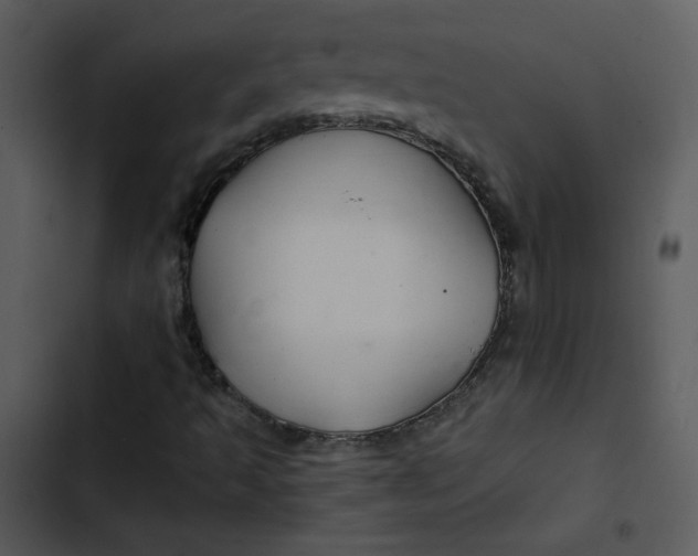 X0000103321493200809261123