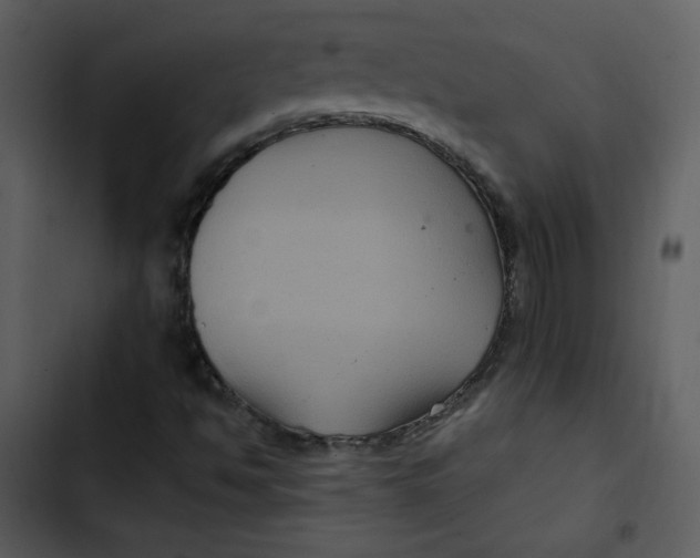 X0000103321494200809261123