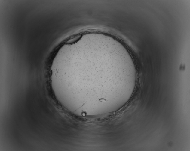 X0000103321496200809261123