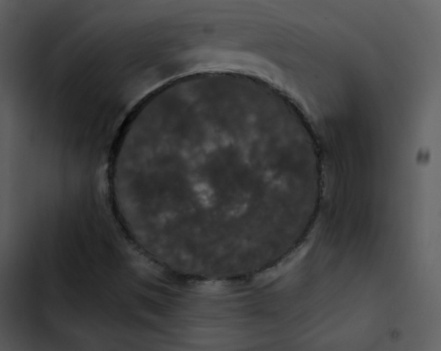 X0000103321497200809261123