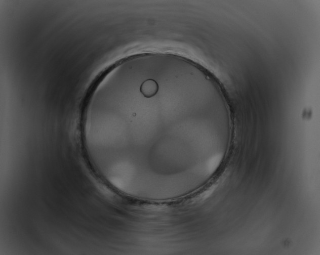 X0000103321498200809261123