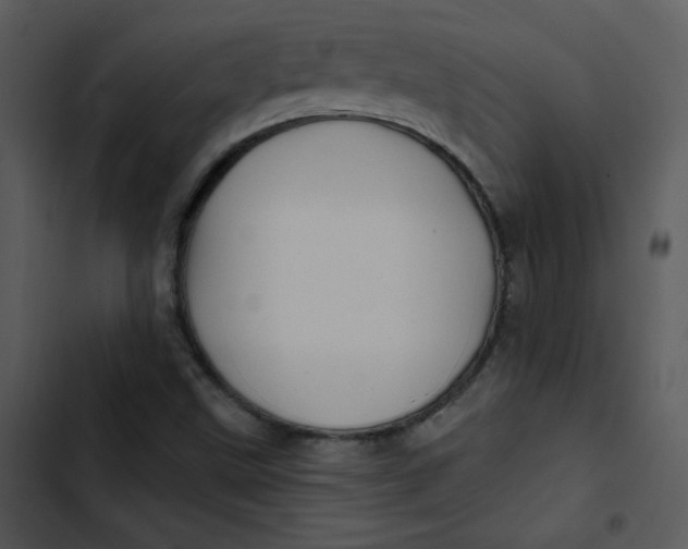 X0000103321499200809261123