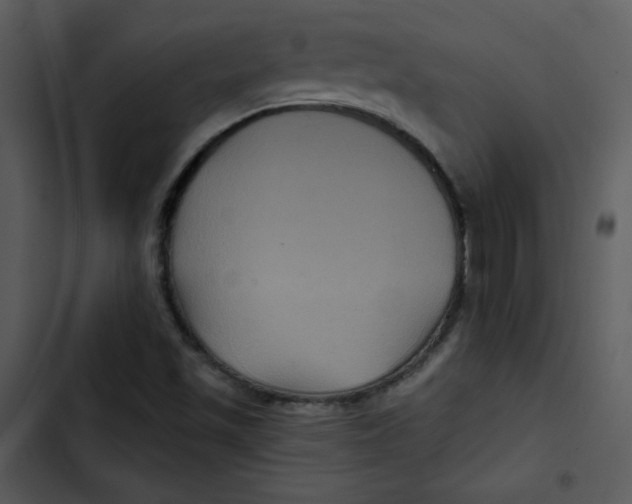 X0000103321501200809261123