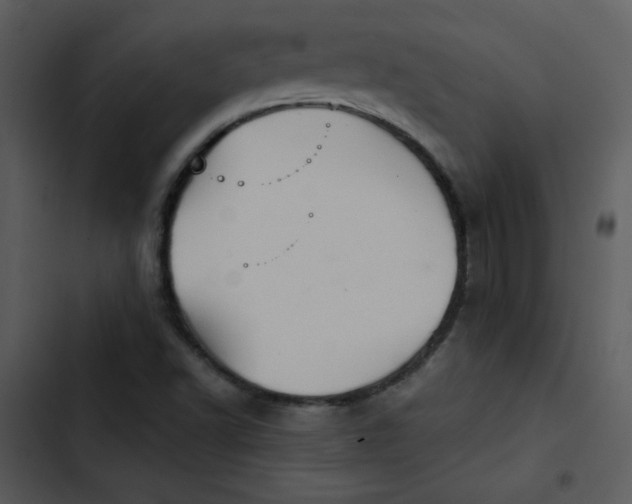 X0000103321502200809261123