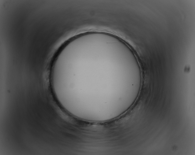 X0000103321503200809261123