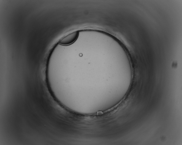 X0000103321504200809261123