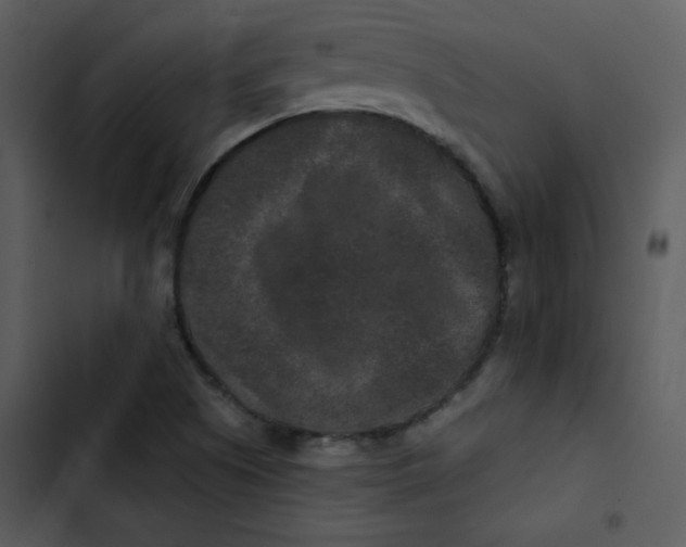 X0000103321505200809261123