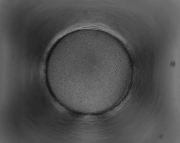 X0000103321506200809261123