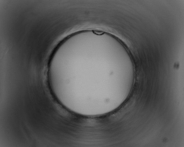 X0000103321507200809261123