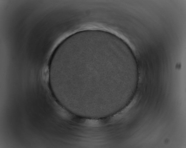 X0000103321509200809261123