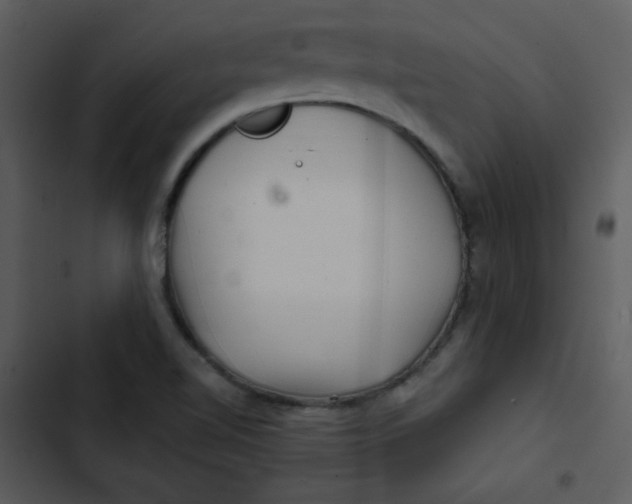 X0000103321510200809261123