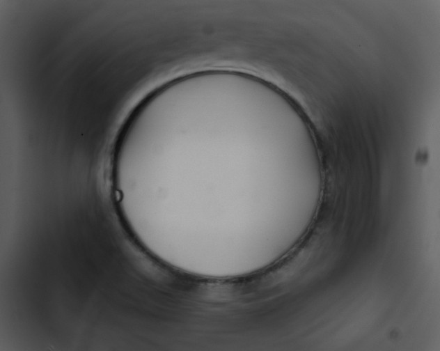 X0000103321511200809261123