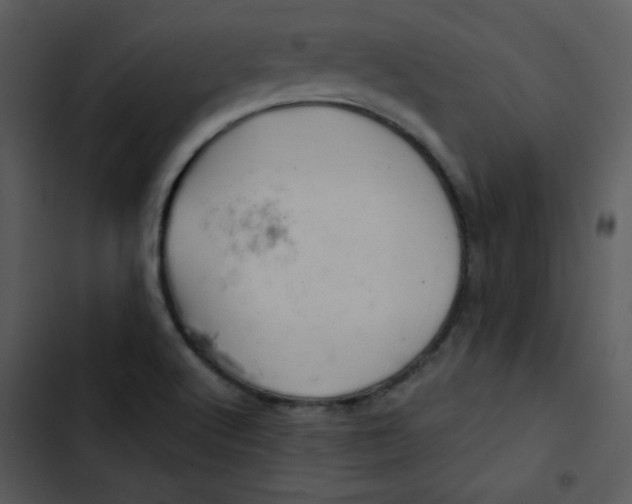 X0000103321512200809261123