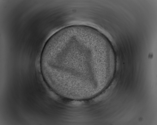 X0000103321513200809261124