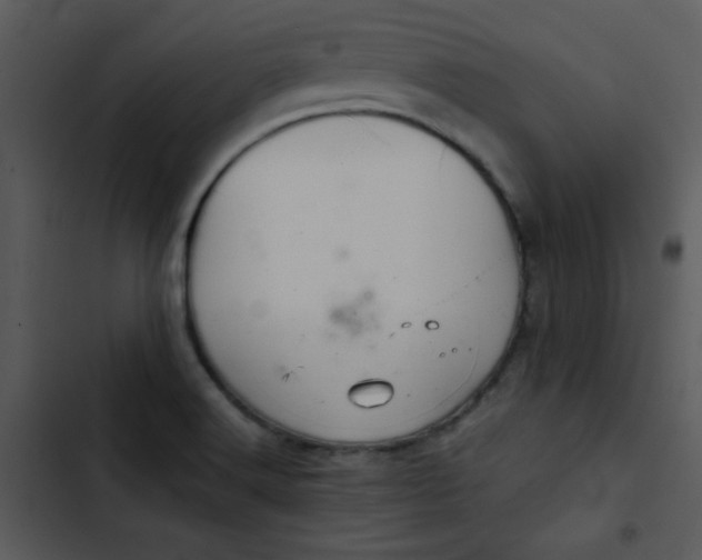 X0000103321516200809261124