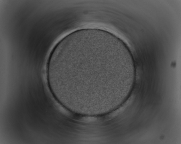 X0000103321517200809261124