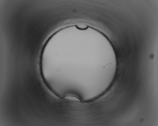 X0000103321518200809261124