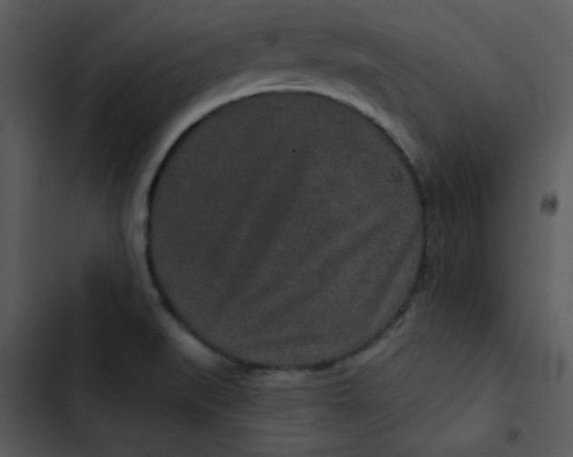 X0000103321519200809261124