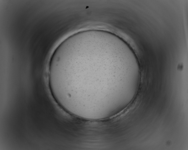 X0000103321520200809261124