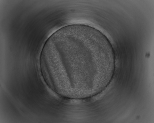 X0000103321521200809261124