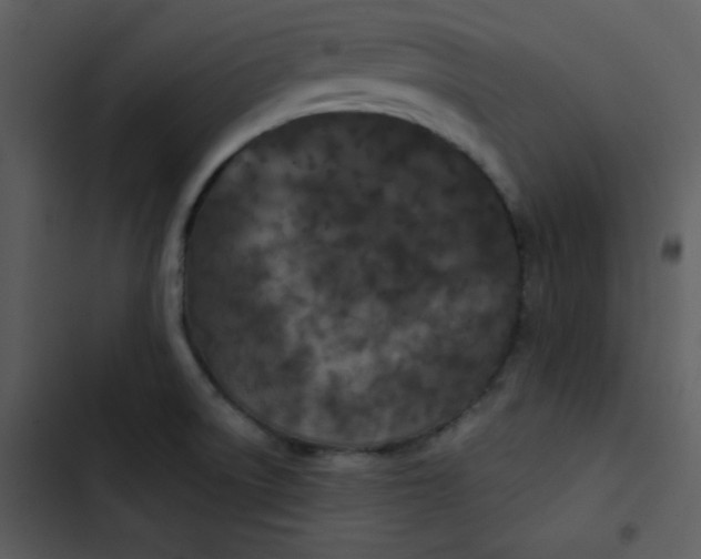 X0000103321522200809261124